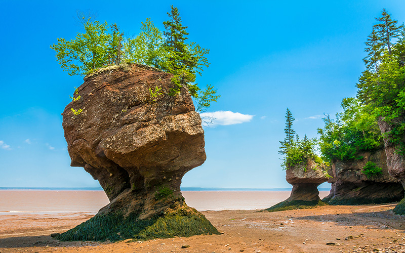 Bay of Fundy, Eastern Canada