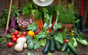 vegetables | community garden