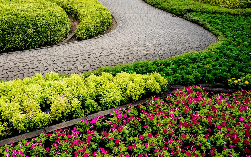 beautiful lanscape | hoa landscaping for spring
