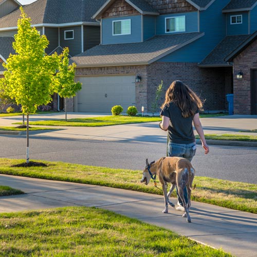 spring walking | HOA spring cleaning