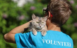 volunteer holding a cat | volunteer at an animal shelter