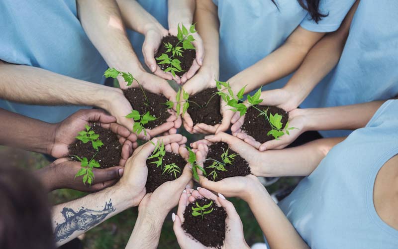 small plants on hands | summer activities for the community