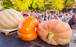 hoa fall festival