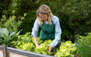 spring vegetable garden