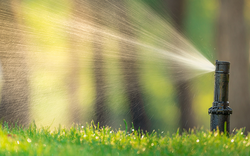Check Sprinkler and Irrigation Systems