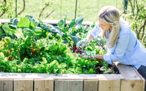 winter gardening