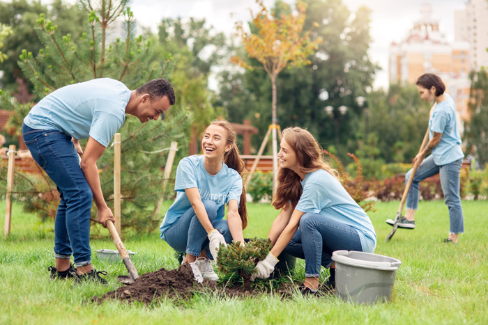 community planting | HOA spring planting
